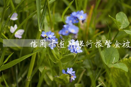 信用卡逾期银行报警会被拘留吗 信用卡逾期银行报警会被拘留吗