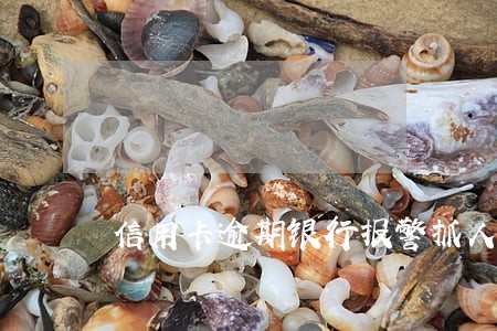 信用卡逾期银行报警抓人录口供 信用卡逾期银行报警抓人录口供