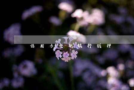 信用卡逾期银行抵押