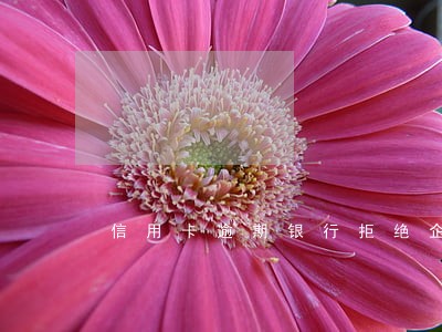 信用卡逾期银行拒绝企业贷款 信用卡逾期银行拒绝企业贷款