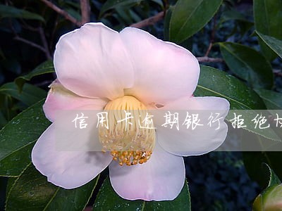 信用卡逾期银行拒绝协商 信用卡逾期银行拒绝协商