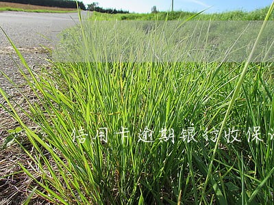 信用卡逾期银行收保证金 信用卡逾期银行收保证金