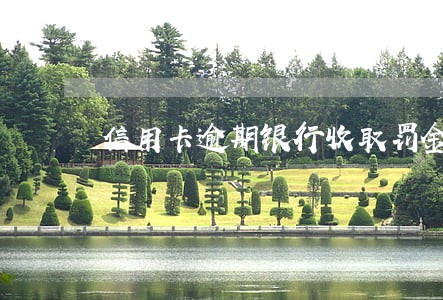 信用卡逾期银行收取罚金合法吗 信用卡逾期银行收取罚金合法吗