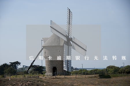 信用卡逾期银行无法转账 信用卡逾期银行无法转账