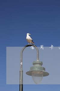 信用卡逾期银行是不是要提醒 信用卡逾期银行是不是要提醒