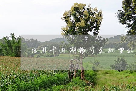 信用卡逾期银行是批量起诉吗 信用卡逾期银行是批量起诉吗