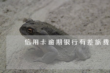 信用卡逾期银行有差旅费吗
