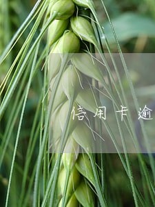 信用卡逾期银行有提示义务么 信用卡逾期银行有提示义务么