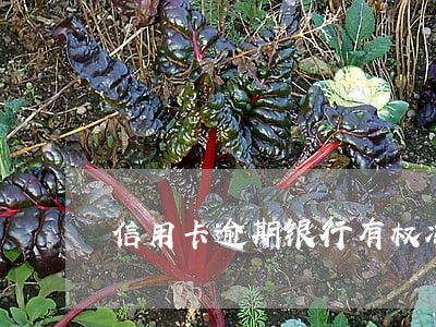 信用卡逾期银行有权冻结吗 信用卡逾期银行有权冻结吗