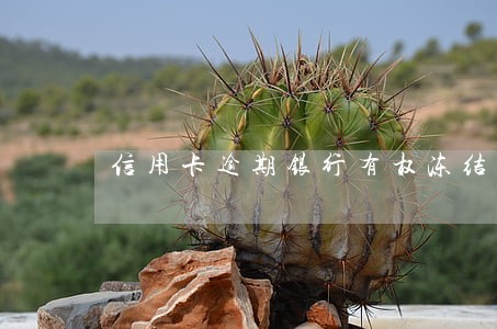 信用卡逾期银行有权冻结存款吗 信用卡逾期银行有权冻结存款吗