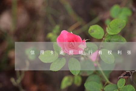 信用卡逾期银行有权利张贴告示吗