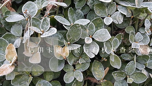 信用卡逾期银行有权利查流水嘛 信用卡逾期银行有权利查流水嘛