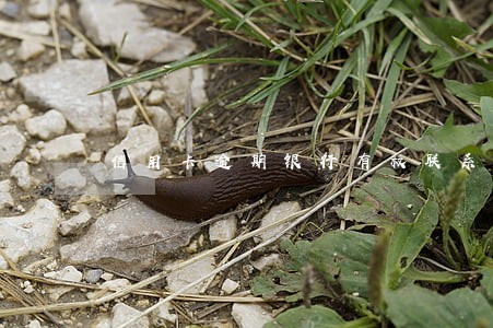 信用卡逾期银行有权联系家人 信用卡逾期银行有权联系家人