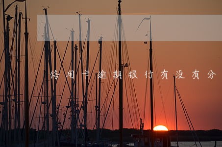 信用卡逾期银行有没有分期的可能 信用卡逾期银行有没有分期的可能
