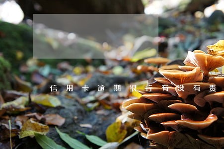 信用卡逾期银行有没有责任 信用卡逾期银行有没有责任