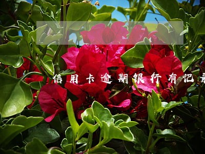 信用卡逾期银行有记录吗 信用卡逾期银行有记录吗