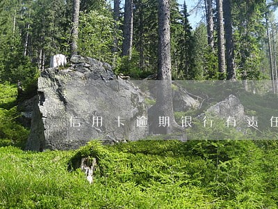 信用卡逾期银行有责任