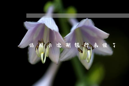 信用卡逾期银行来催了 信用卡逾期银行来催了