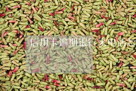 信用卡逾期银行来电话怎么办