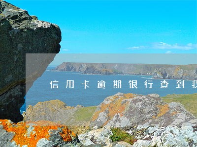 信用卡逾期银行查到我新号码 信用卡逾期银行查到我新号码
