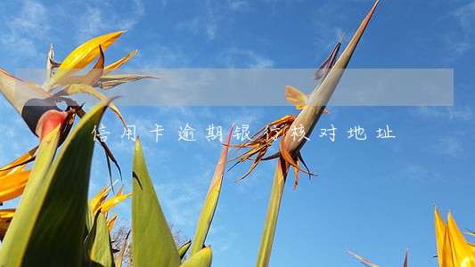 信用卡逾期银行核对地址 信用卡逾期银行核对地址