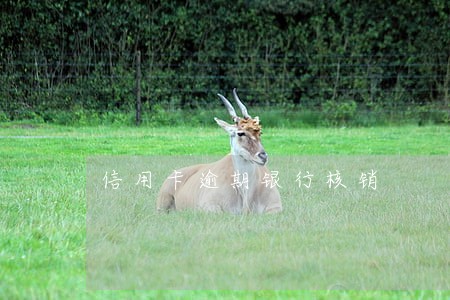 信用卡逾期银行核销 信用卡逾期银行核销