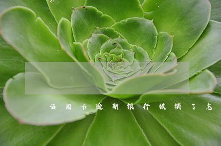信用卡逾期银行核销了怎么办