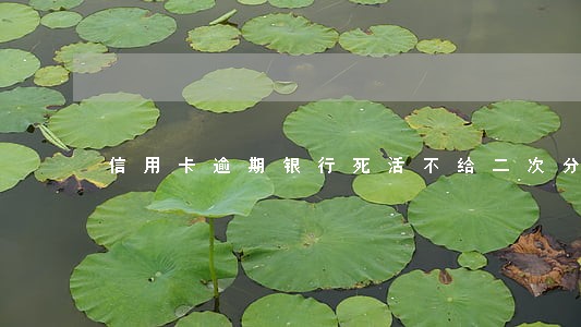 信用卡逾期银行死活不给二次分期