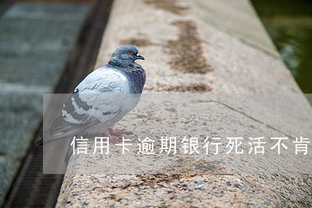 信用卡逾期银行死活不肯减免 信用卡逾期银行死活不肯减免