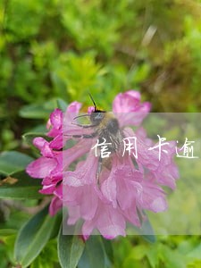 信用卡逾期银行没告知 信用卡逾期银行没告知