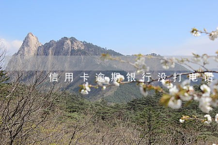 信用卡逾期银行没打电话 信用卡逾期银行没打电话