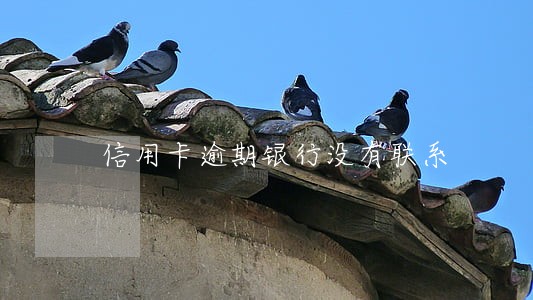 信用卡逾期银行没有联系 信用卡逾期银行没有联系