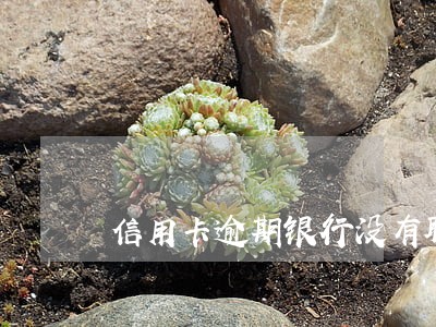 信用卡逾期银行没有联系我 信用卡逾期银行没有联系我