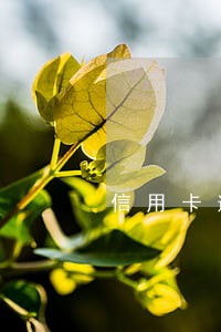 信用卡逾期银行没有通知我 信用卡逾期银行没有通知我