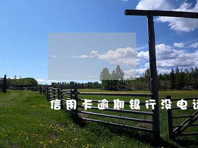 信用卡逾期银行没电话通知 信用卡逾期银行没电话通知