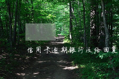 信用卡逾期银行没给回复 信用卡逾期银行没给回复