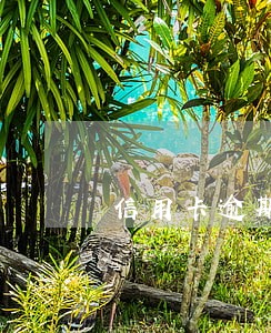 信用卡逾期银行用什么电话通知