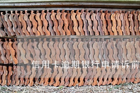 信用卡逾期银行申请诉前保全 信用卡逾期银行申请诉前保全