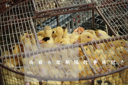 信用卡逾期银行申请财产冻结 信用卡逾期银行申请财产冻结