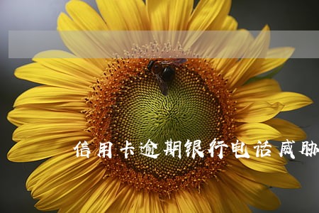 信用卡逾期银行电话威胁家里人 信用卡逾期银行电话威胁家里人
