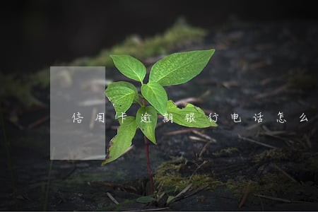 信用卡逾期银行电话怎么接 信用卡逾期银行电话怎么接