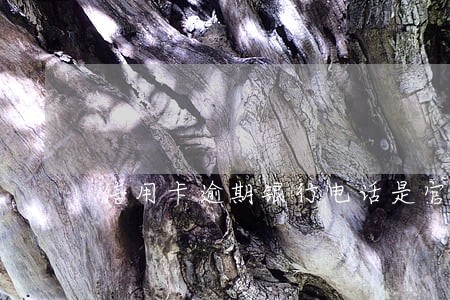 信用卡逾期银行电话是官方号 信用卡逾期银行电话是官方号