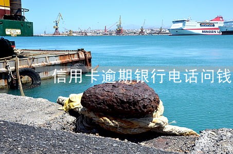 信用卡逾期银行电话问钱花去哪