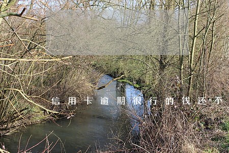 信用卡逾期银行的钱还不上怎样