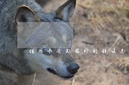 信用卡逾期银行的错误怎么办 信用卡逾期银行的错误怎么办