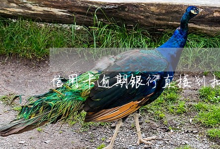 信用卡逾期银行直接划扣