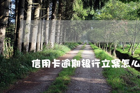 信用卡逾期银行立案怎么办 信用卡逾期银行立案怎么办