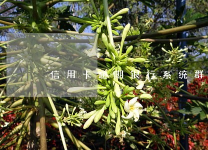 信用卡逾期银行系统群发 信用卡逾期银行系统群发