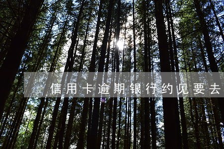 信用卡逾期银行约见要去吗 信用卡逾期银行约见要去吗