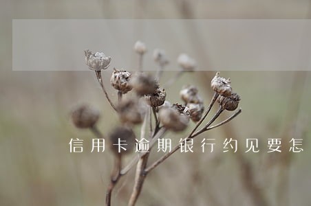 信用卡逾期银行约见要怎么谈 信用卡逾期银行约见要怎么谈